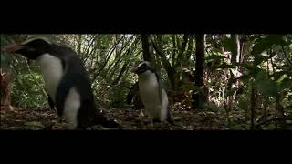 DreamWorks PINGVINERNE FRA MADAGASCAR  quotPenguins Antarctic Documentaryquot  DANMARK [upl. by Ertemed]