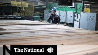 US tariffs impact on Canadian lumber [upl. by Tamanaha]