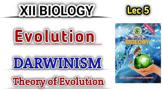 DARWINISM lec 5  Theory of Evolution by natural selection class 12 [upl. by Enirod]