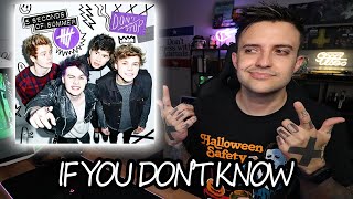 5 Seconds Of Summer  If You Dont Know REACTION [upl. by Sadinoel]