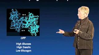 Susan Taylor UCSD Part 1 Protein Phosphorylation in Biology [upl. by Isac157]