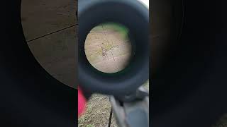 Deer Hunting Savage Axis 243 Winchester with a Vortex [upl. by Gilberta]