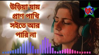 উড়িয়া যায় প্রাণ পাখি আর সইতে পারি নারে বন্ধু Uriya jay pran pakhi soite R pari nare [upl. by Goer568]