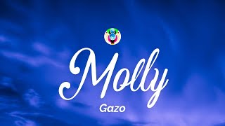 Gazo  MOLLY ParolesLyrics [upl. by Edsel963]