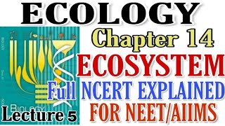 NCERT Ch14 ECOSYSTEM Ecology class 12 Biology Full explained NCERT For BOARDS amp NEETAIIMS [upl. by Ardna]