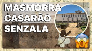 SENZALA E MASMORRA PRESERVADAS NA MAIOR FAZENDA DAS AMÉRICAS [upl. by Assener]