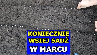 KONIECZNIE Wysiej te Warzywa w Marcu Co siać sadzić w Marcu Kalendarz Ogrodnika Warzywnika Marzec [upl. by Patric822]