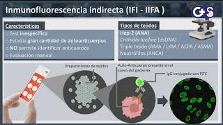 Sesión clínica Explorando los anticuerpo Técnica diagnóstico y relevancia clínica [upl. by Zoltai158]