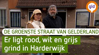 Van tokkietuin tot visitekaartje van Harderwijk  De Groenste Straat van Gelderland [upl. by Kalindi]