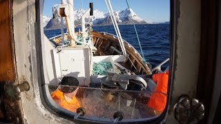 Breisund  Auf Dorschfang vor den Lofoten [upl. by Cyprian]