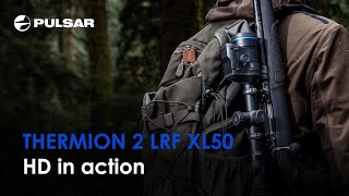 Pulsar Thermion 2 LRF XL50  HD thermal device  Live performance [upl. by Hgielek]