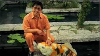 DIRECTV quotThe Whalequot HQ2011 Commercial with Dat Phan [upl. by Adnolehs]