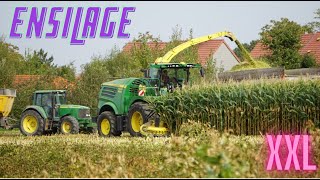 4K Ensilage XXL dans le nord 🇫🇷🌽 20 tracteurs 3 ensileuses [upl. by Ethelda749]