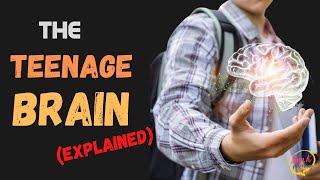 How does the Teenage Brain work ⚙️ Brain development in Adolescence a video by SamK Parenting [upl. by Atilrep]