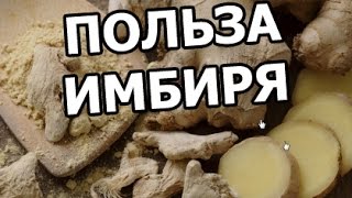 Польза имбиря Чем он полезен и его свойства [upl. by Revned]