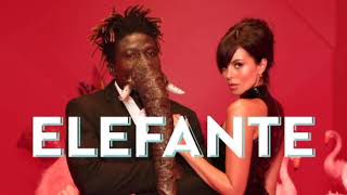 NK  ELEFANTE Official Video [upl. by Ingrim]