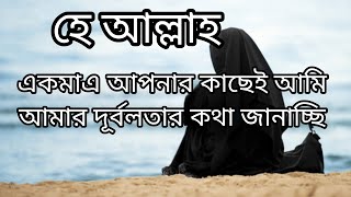 হে আল্লাহ islamicquotes islamicmotivationalspeechbangla islamicmotivation [upl. by Asecnarf323]