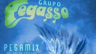 PEGASSO DEL POLLO ESTEVAN PEGAMIX [upl. by Thenna]