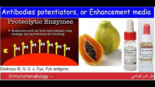 Lecture 115 Antibodies potentiators or Enhancement media [upl. by Quartas961]