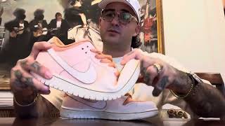 Nike SB Trocadero Gardens Review  OnFoot [upl. by Tse943]