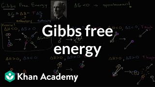 Gibbs free energy and spontaneous reactions  Biology  Khan Academy [upl. by Rosemaria318]