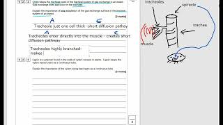 ALevel Biology Biological molecules Cohesion tension and insect respiratory system [upl. by Broder]