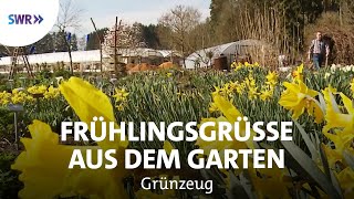 Frühling in der BioGärtnerei  SWR Grünzeug [upl. by Basia]