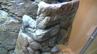 Aquarium Filter and Heater cover ROCK structure from resin  aquamaniac [upl. by Srednas]