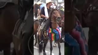 Como son las cabalgatas en Colombia [upl. by Enogitna]