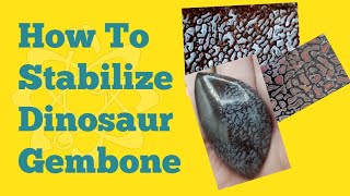 How to Stabilize Dinosaur Gembone [upl. by Cleres471]