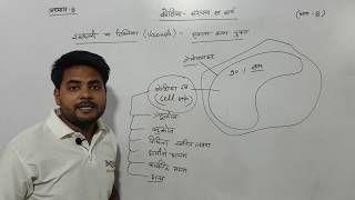 अध्याय8 कोशिका संरचना एवं कार्य भाग 8 कक्षा 11 जीवविज्ञान  chapter 8 cell structure [upl. by Ennoirb]