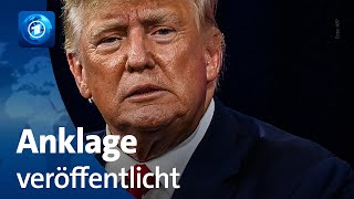 Anklageschrift veröffentlicht schwere Vorwürfe gegen Trump [upl. by Graubert]