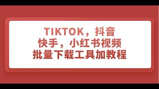 【iOSAndroid适用】国内安装国际版抖音Tiktok免拔卡教学，支持苹果安卓手机 超简单教程 [upl. by Ijnek]