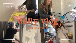 Küçük Çaplı Temizlik  Buzdolabı ve Cam Temizliği  Ütü Yaptım  DAILY VLOG [upl. by Aeila]