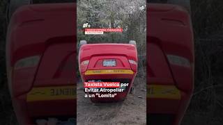 Taxista vuelca para evitar atropellar a perro en Tamaulipas  N Shorts [upl. by Arten605]