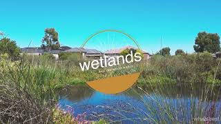 Australian Wetlands Documentary [upl. by Lowenstern]