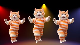 😻Cat videos funny dance 💃😃Videos for catsvfunnycats dancingcat catlovers furrycornerz [upl. by Tamas782]