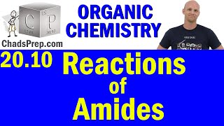 2010 Synthesis and Reactions of Amides  Organic Chemistry [upl. by Kaila]