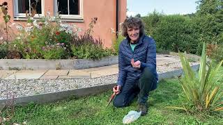 Caroline demonstrates using a dibber to plant spring bulbs [upl. by Sonia]