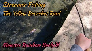 STREAMER FISHING The Yellow Breeches Run  quot Big Rainbow Trout Hooked Plus Many More quot [upl. by Almeta]