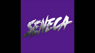 Seneca  DJ Shub [upl. by Zeena751]