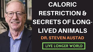 25  Caloric Restriction Deep Dive amp Longevity Secrets of LongLived Animals [upl. by Randi400]