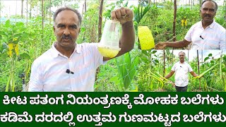 ಕೀಟ ಪತಂಗ ನಿಯಂತ್ರಣಕ್ಕೆ ಲಿಂಗಾಕರ್ಷಕ ಬಲೆಗಳು  fruit fly trap kannada  Yellow sticky trap for white fly [upl. by Zeba]