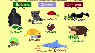 What do Animals Eat Herbivore Omnivore or Carnivore Game 2  Sheppard Software [upl. by Diannne706]