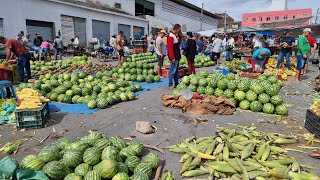 ESSA É UMA DAS MELHORES FEIRAS DO NORDESTE QUE NOS SURPRIENDE COM A QUANTIDADE DE MERCADORIA [upl. by Lahcear]