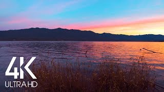 Morning Lake  8 HOURS of Water Lapping the Lake Shore  Nature Relaxation Sounds [upl. by Thomasina131]