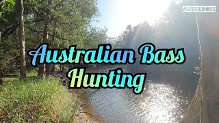 Land Based Fishing Teddington Wide Bay Australian Bass Hunting Ep01 [upl. by Yrtua]