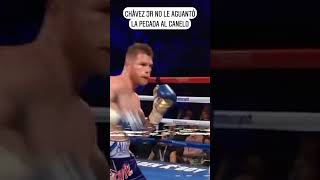 Chávez Jr no le aguantó la pegada al Canelo boxing [upl. by Morganica]