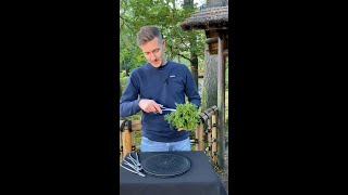 Designing a Japanese cedar Bonsai Cryptomeria shorts plants diy craft [upl. by Eiznek3]