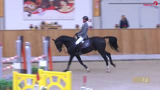 Chubakko Late Entry Turnier Riesenbeck 2018 LSpringen [upl. by Erminie999]